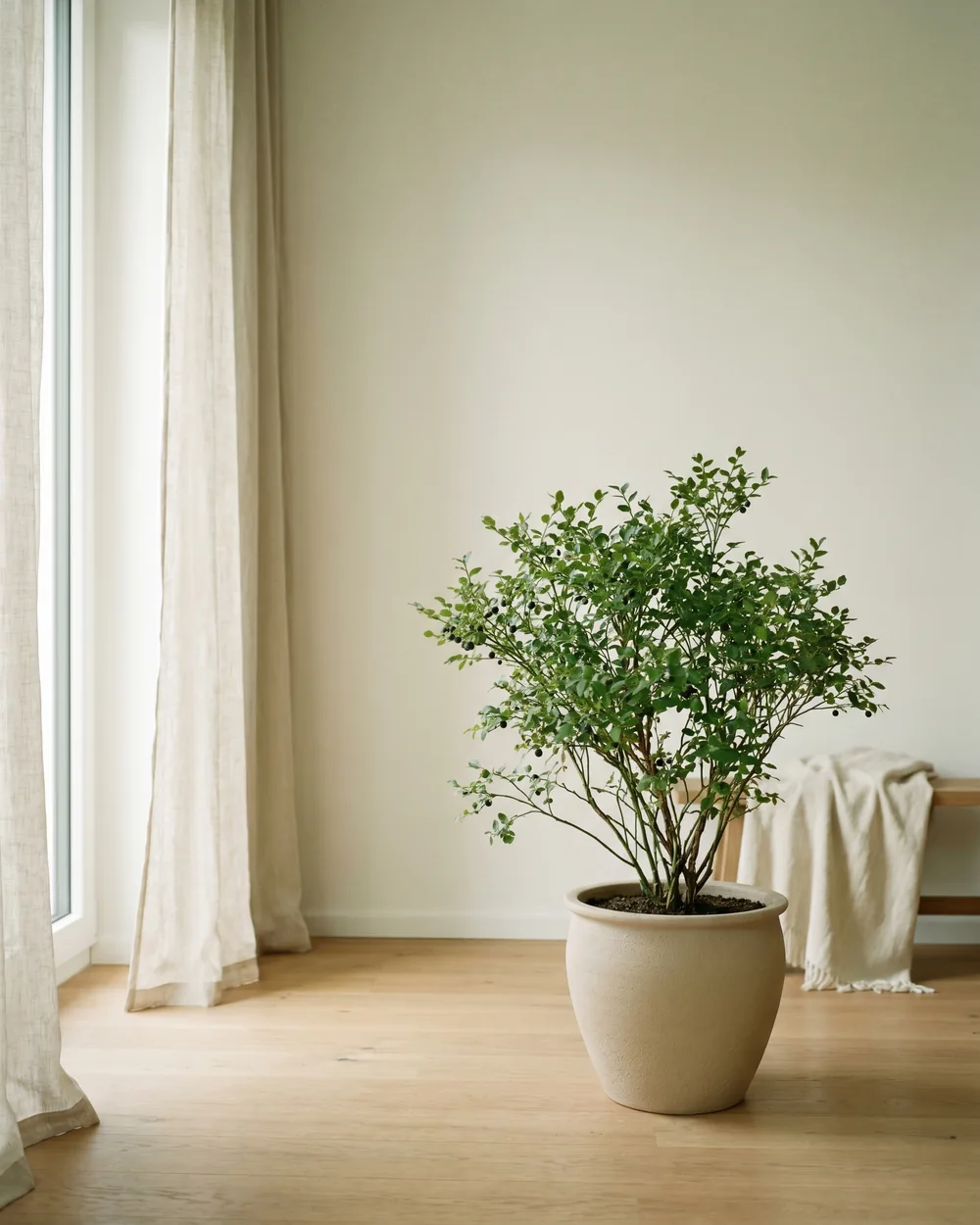 Heidelbeere styliert im Wohnraum
