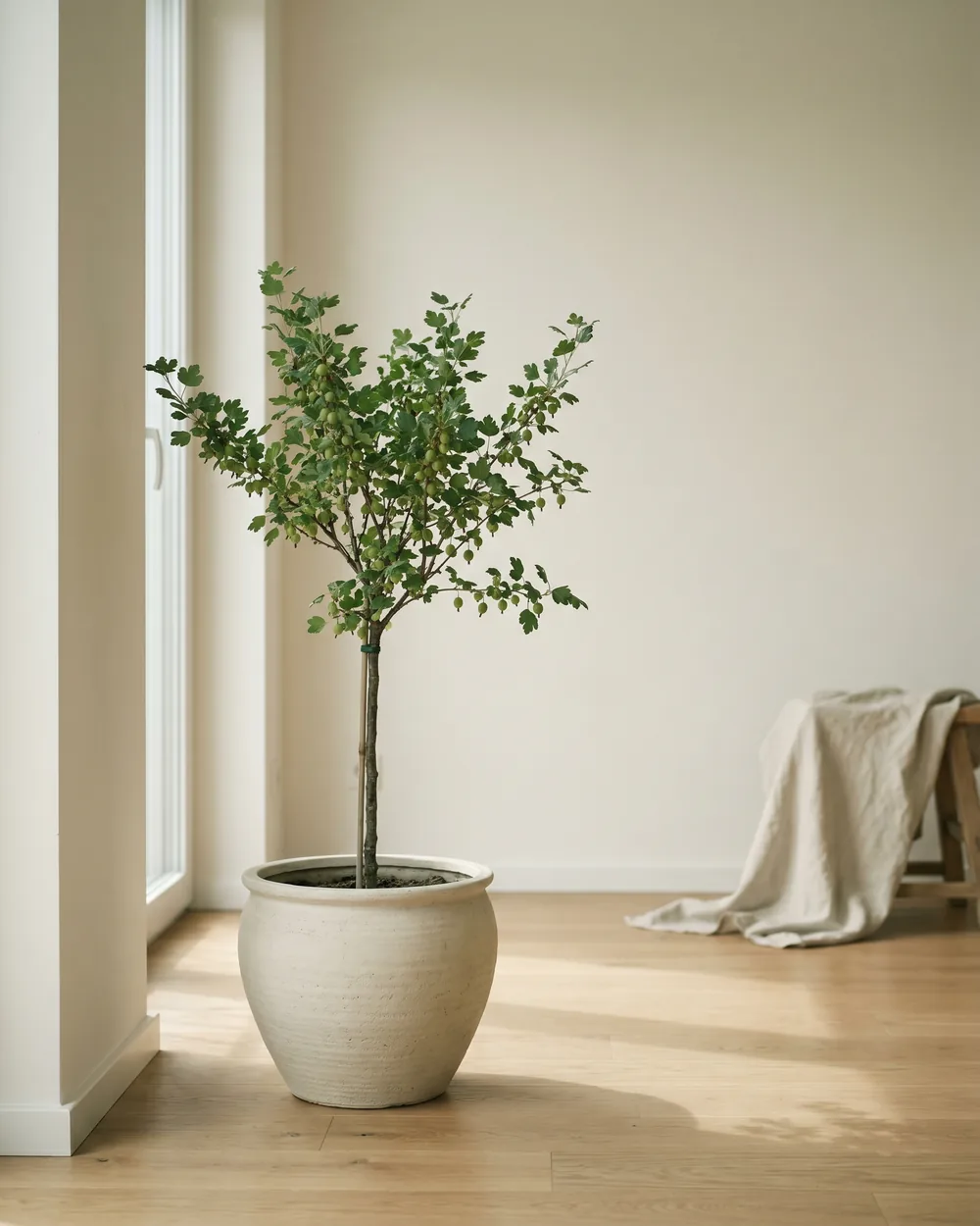Stachelbeere styliert im Wohnraum
