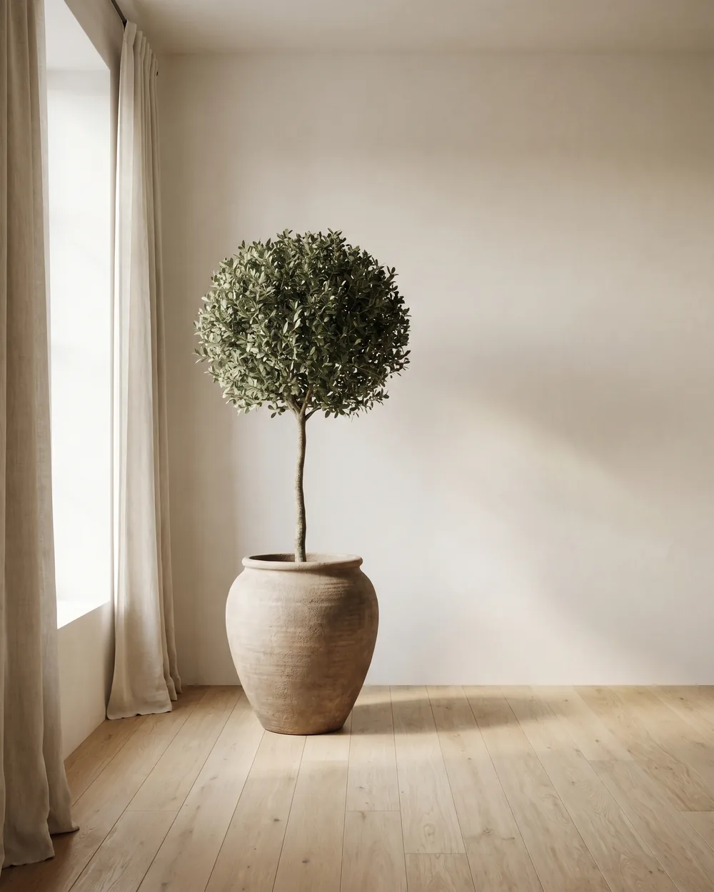 Steineiche styliert im Wohnraum