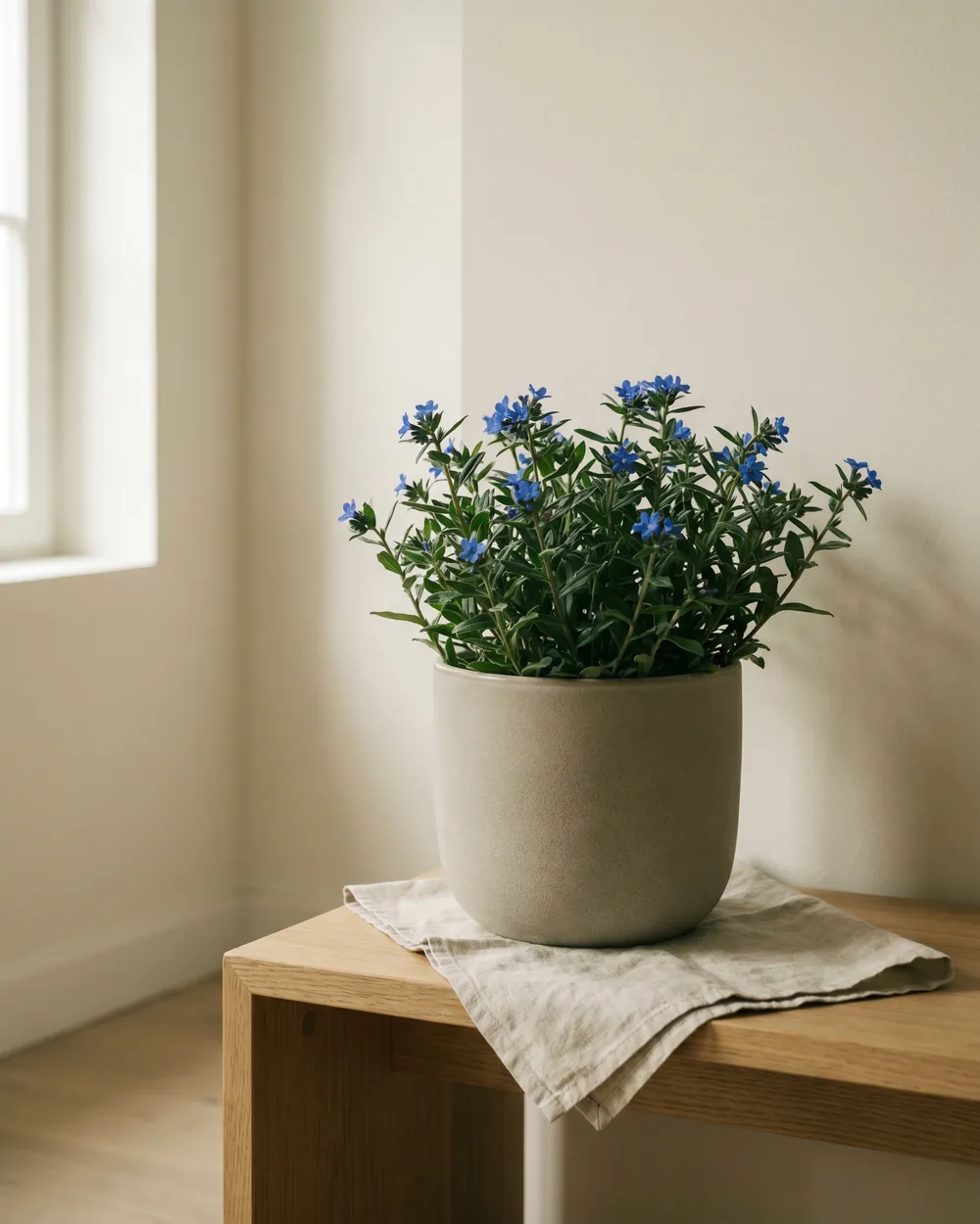 Steinsame styliert im Wohnraum