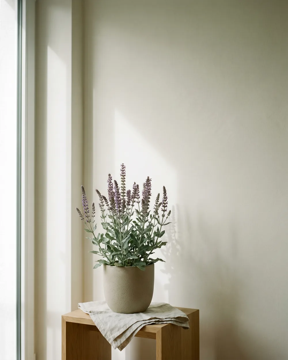 Steppensalbei styliert im Wohnraum