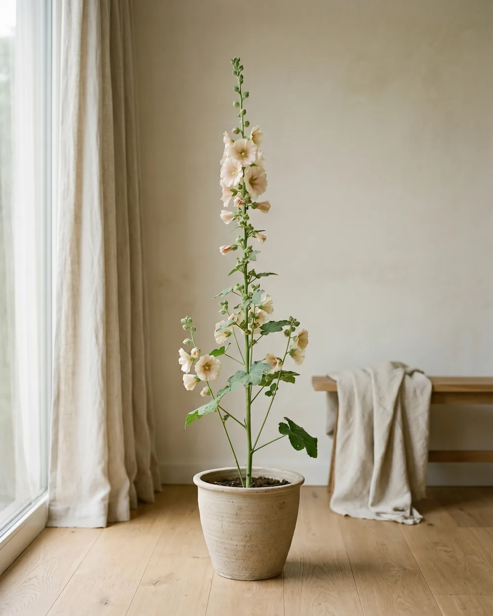 Stockrose styliert im Wohnraum
