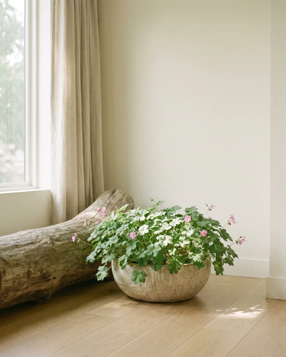 Storchschnabel styliert im Wohnraum