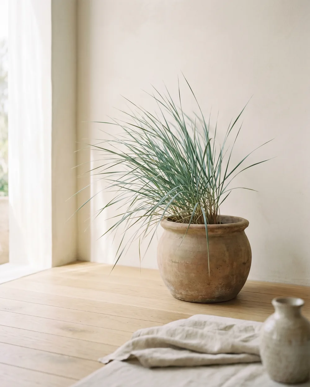 Strandroggen styliert im Wohnraum