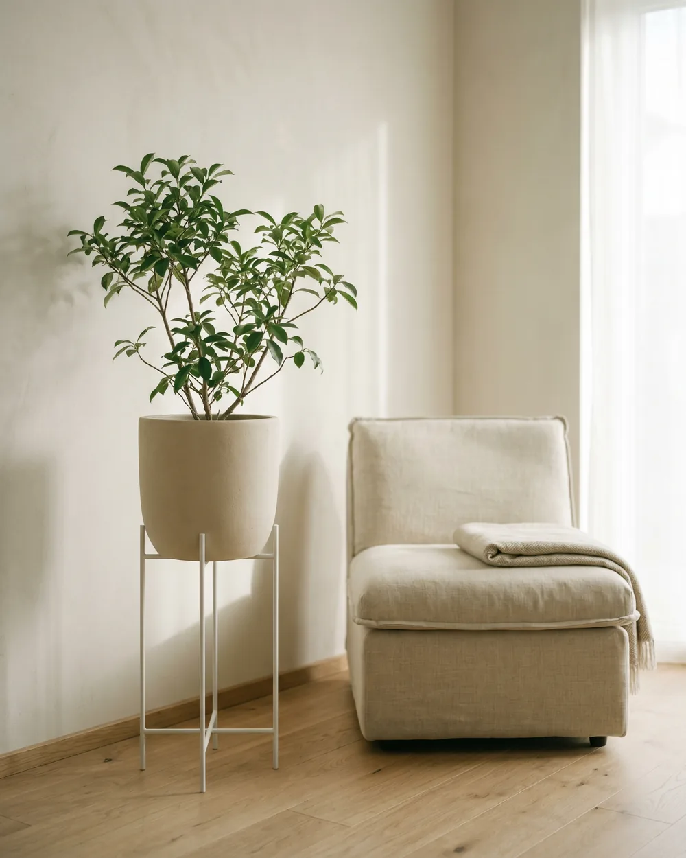 Süßblätter styliert im Wohnraum