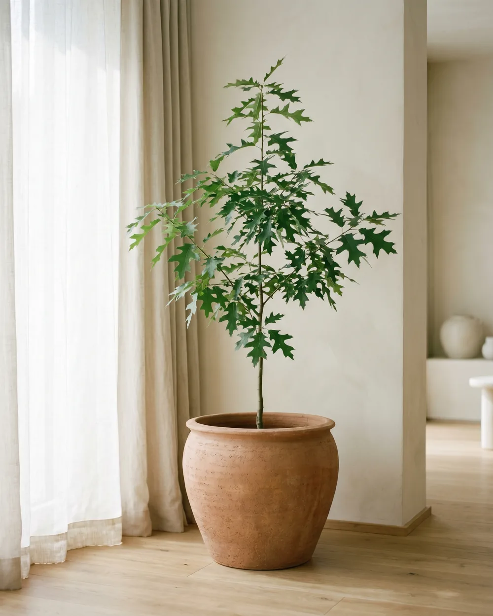 Sumpfeiche styliert im Wohnraum