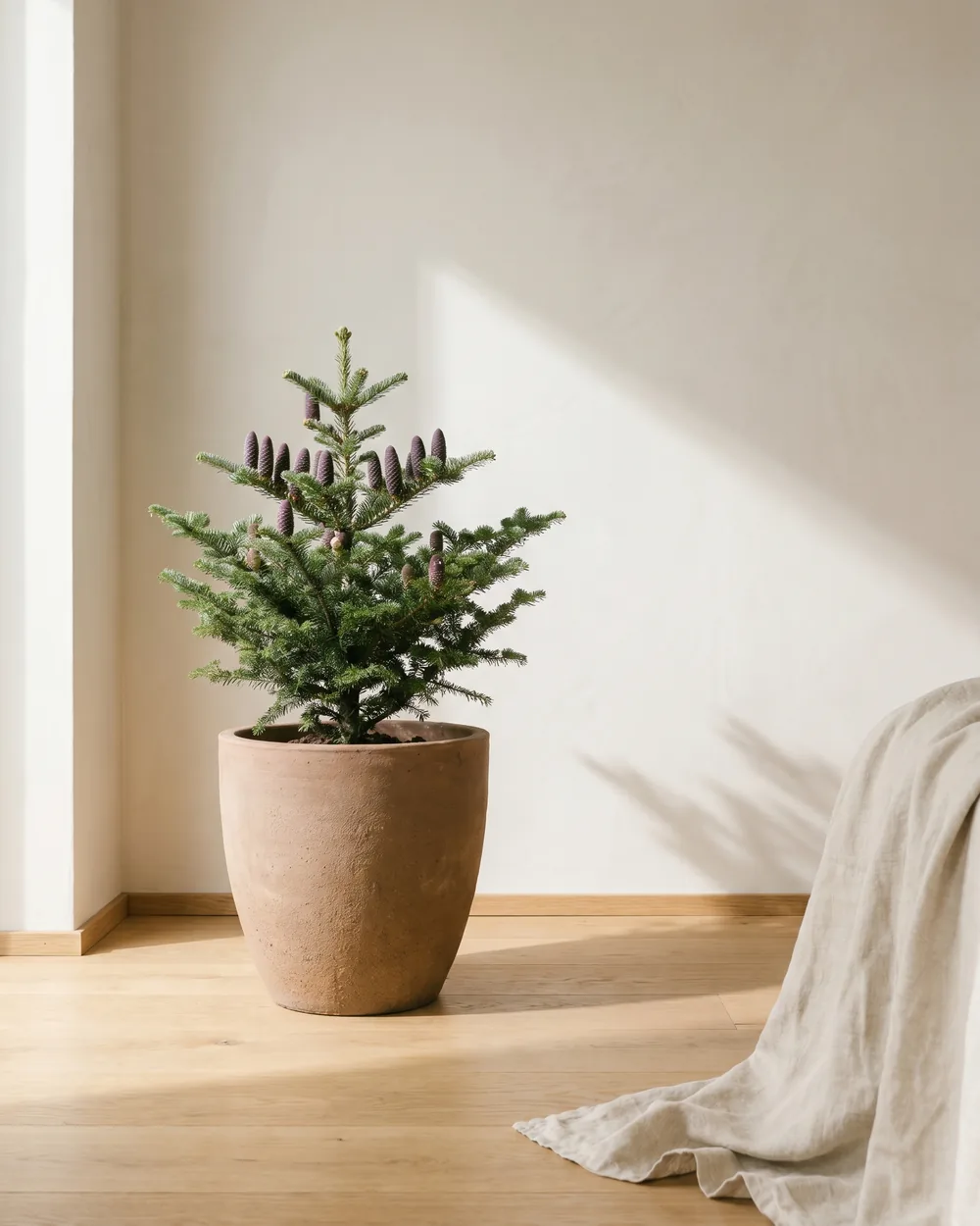 Tanne styliert im Wohnraum