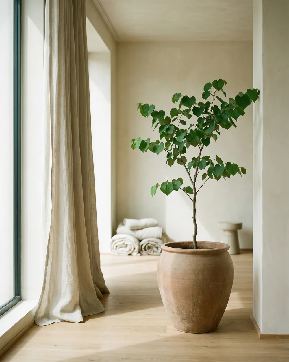 Judasbaum styliert im Wohnraum