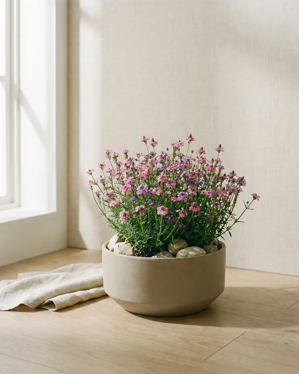 Teppich-Eisenkraut styliert im Wohnraum