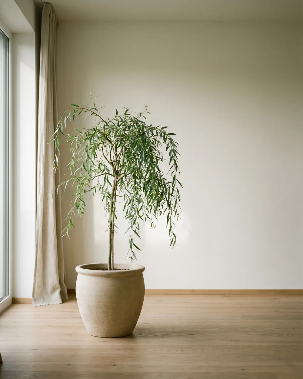 Trauerweide styliert im Wohnraum