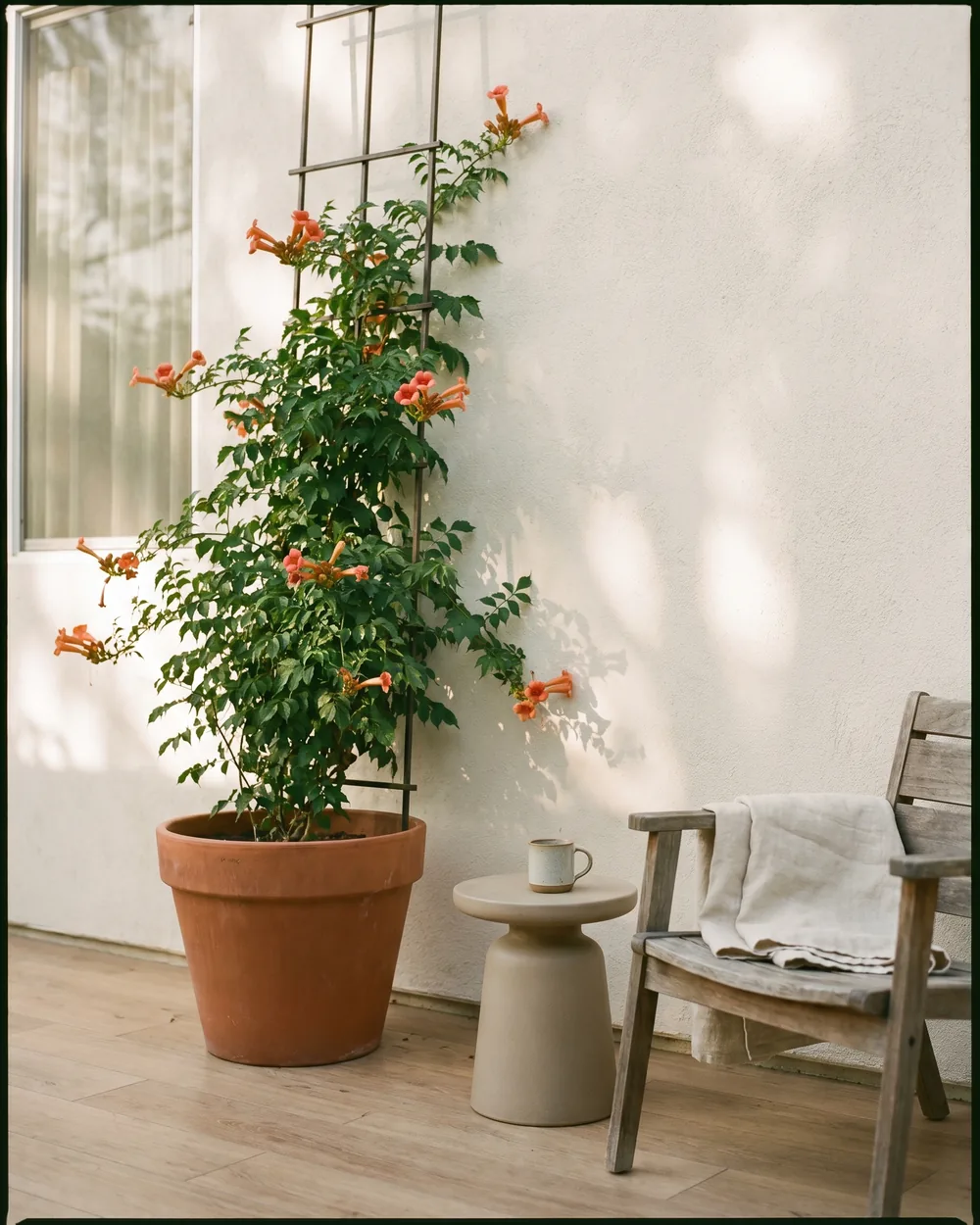 Trompetenblume styliert im Wohnraum