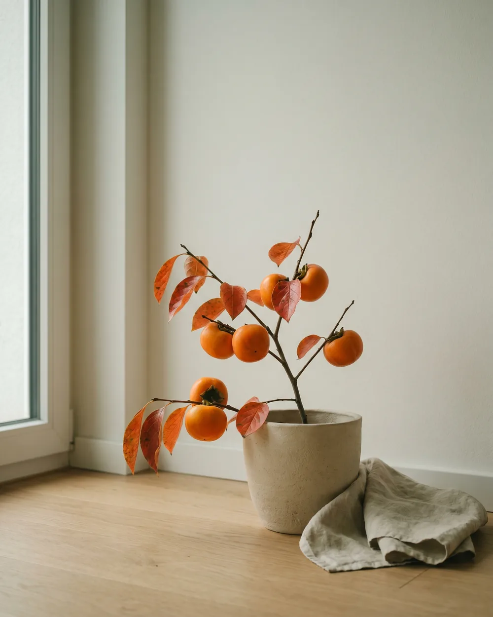 Kaki styliert im Wohnraum