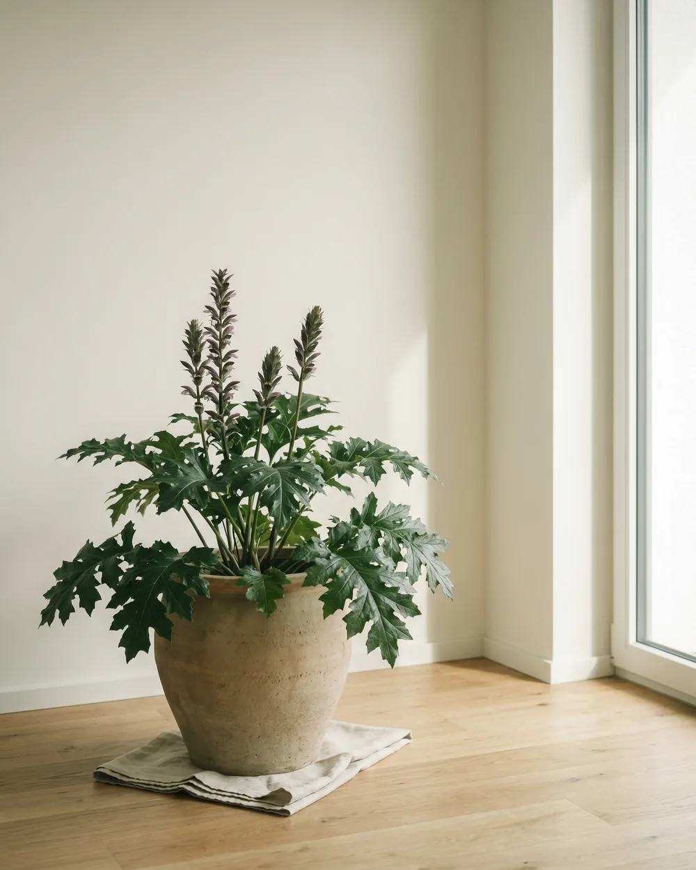 Ungarischer Bärenklau styliert im Wohnraum