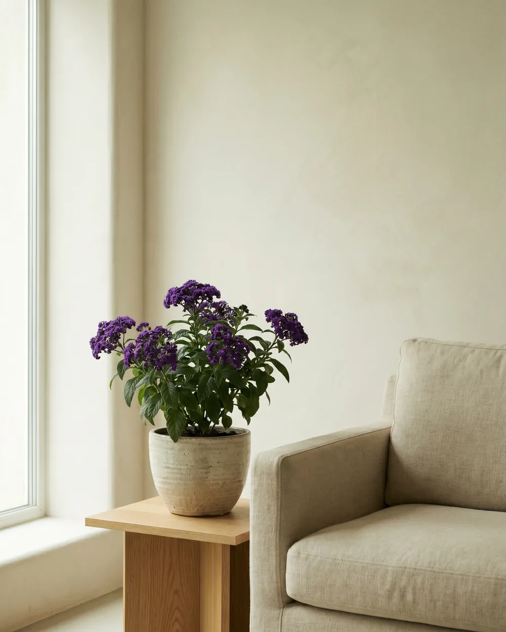 Vanilleblume styliert im Wohnraum