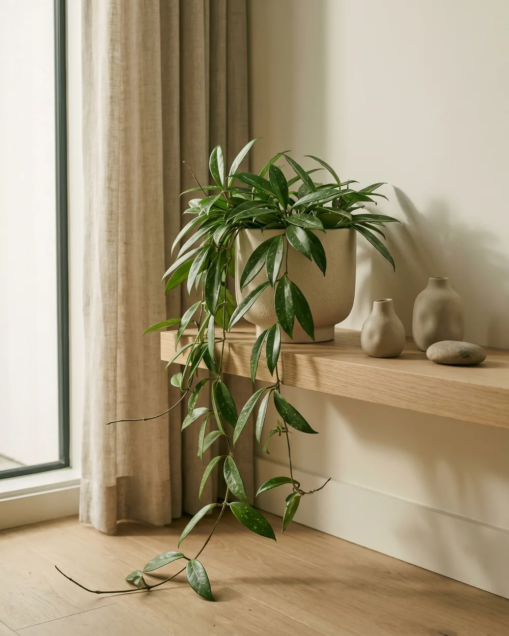 Wachblume styliert im Wohnraum