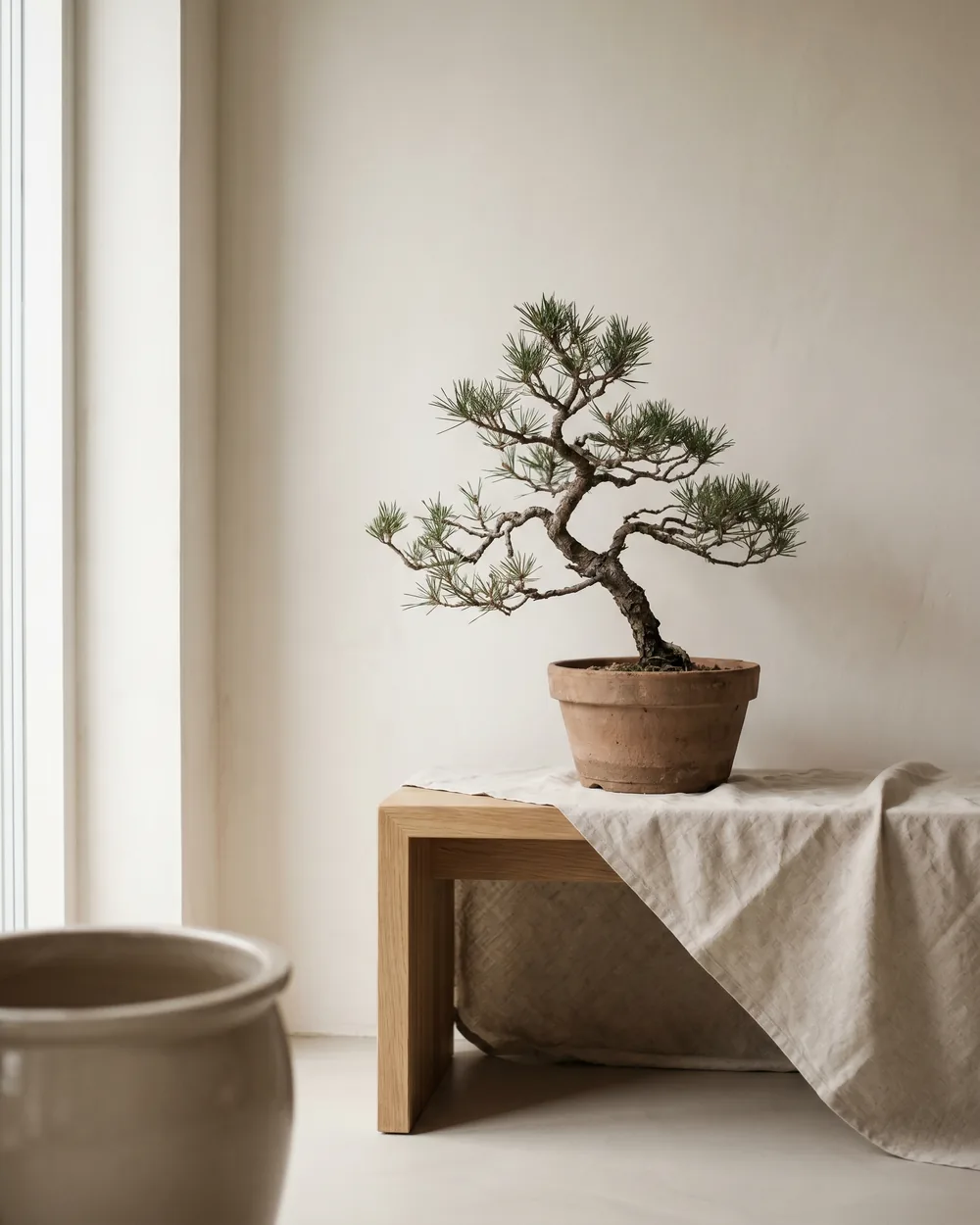 Waldkiefer styliert im Wohnraum