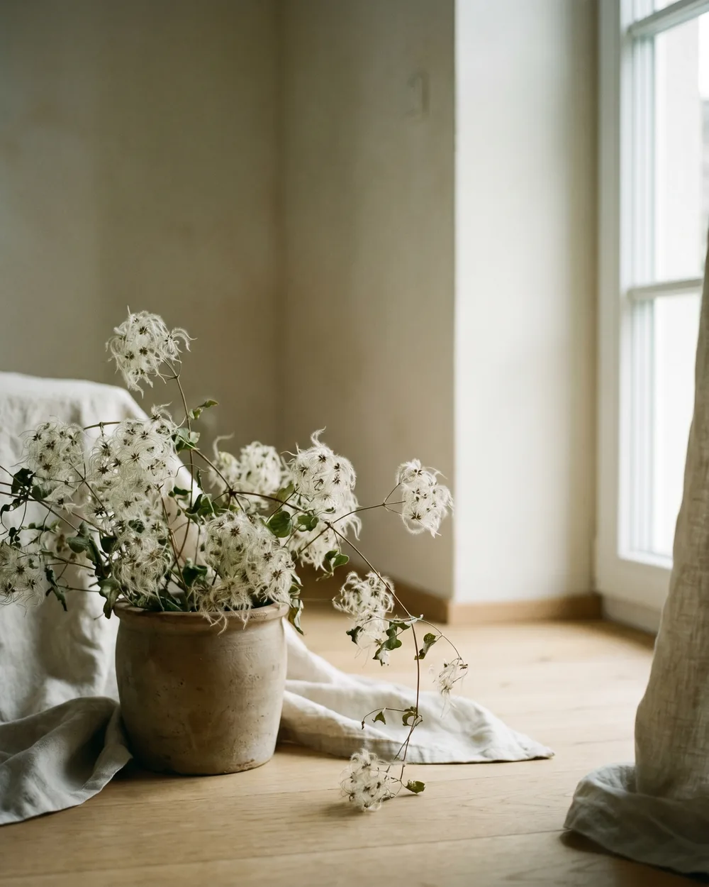 Waldrebe styliert im Wohnraum