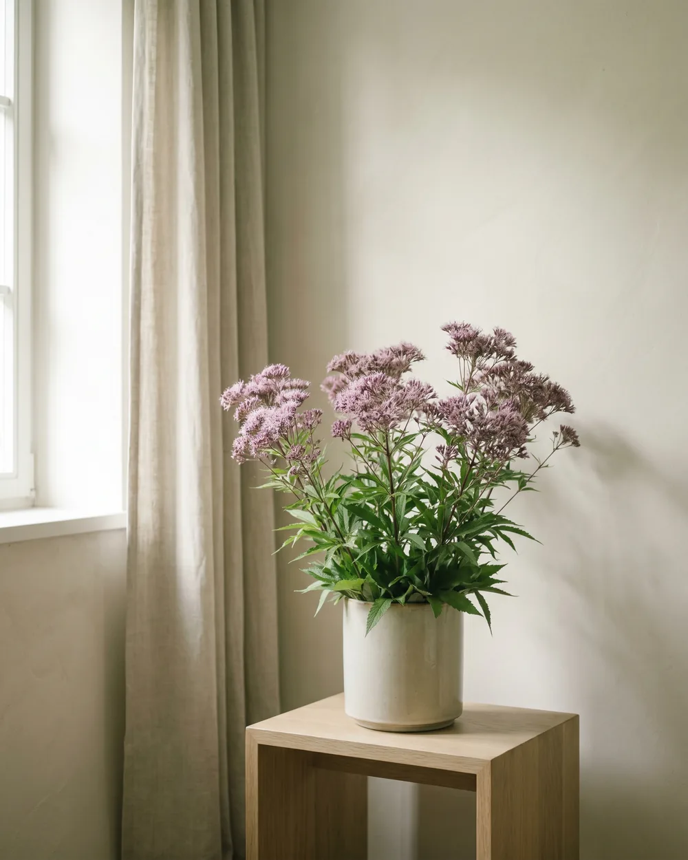 Wasserdost styliert im Wohnraum