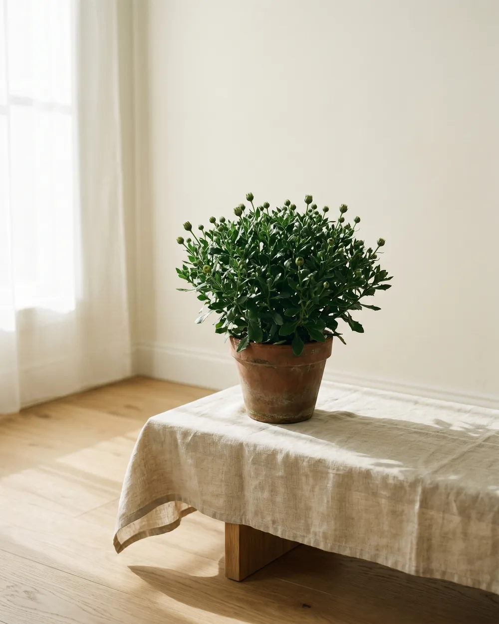 Kapkörbchen styliert im Wohnraum