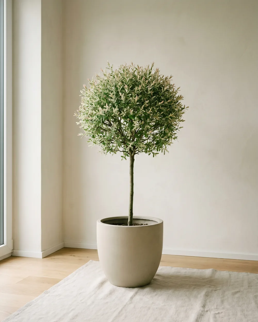 Weide styliert im Wohnraum