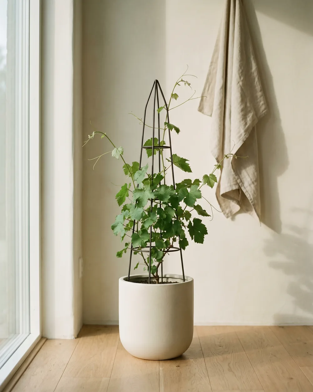 Weinrebe styliert im Wohnraum